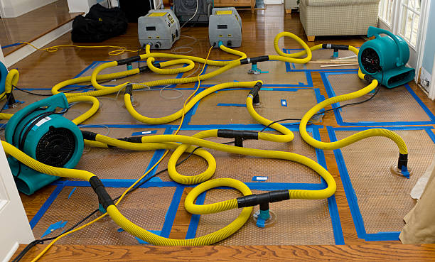 Professional Water Damage Restoration technician working in Ada, OH